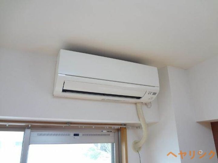 コンラッドのその他画像