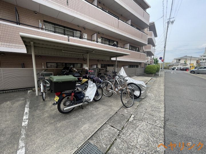 フォンテ名昭のその他画像