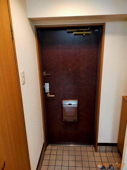 ドールハイツ108の玄関