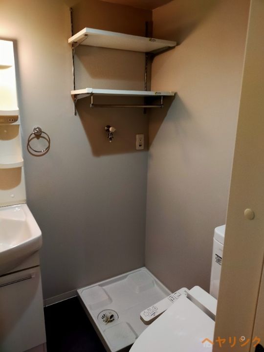 Mountain Ashのその他画像