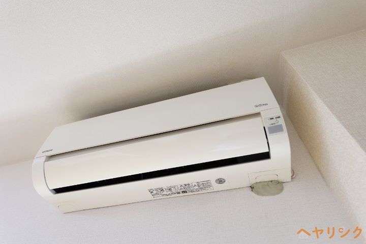 マーヴェラスのその他画像