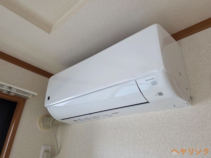 ファビュラスのその他画像