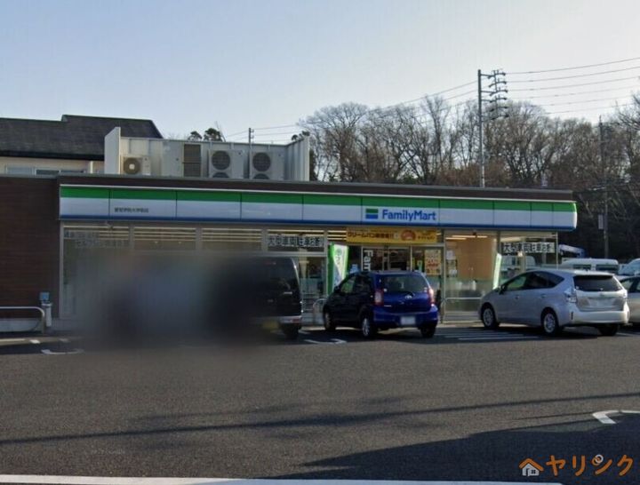 グリーン藤1Aの周辺