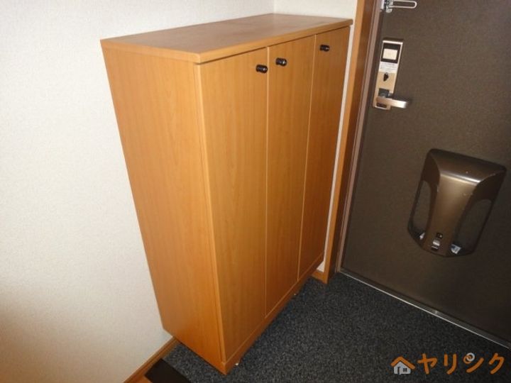 ニュールック岩崎Ⅲの玄関