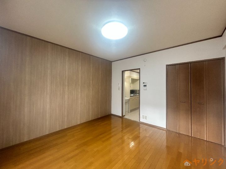 ビダフェリス加藤のその他画像