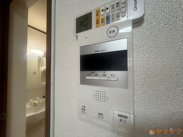 ビダフェリス加藤のその他画像