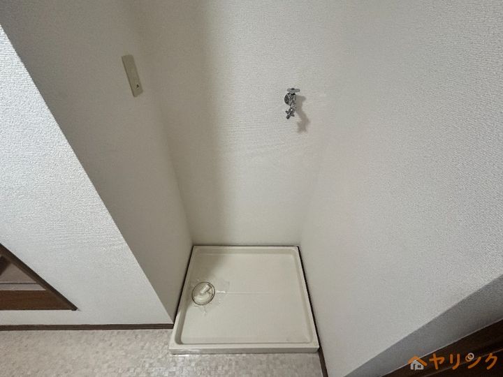 ビダフェリス加藤のその他画像
