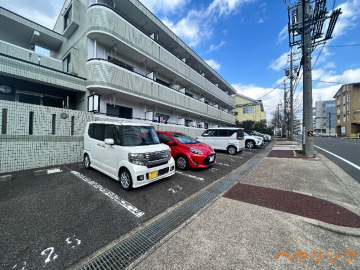 ビダフェリス加藤のその他画像