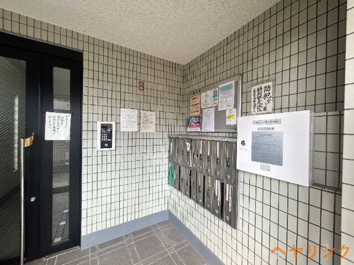 ビダフェリス加藤のその他画像