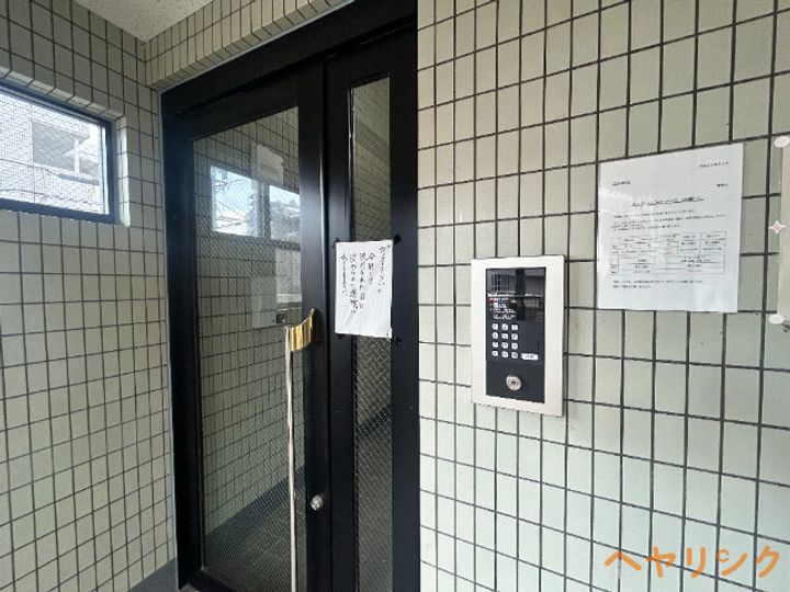 ビダフェリス加藤のその他画像