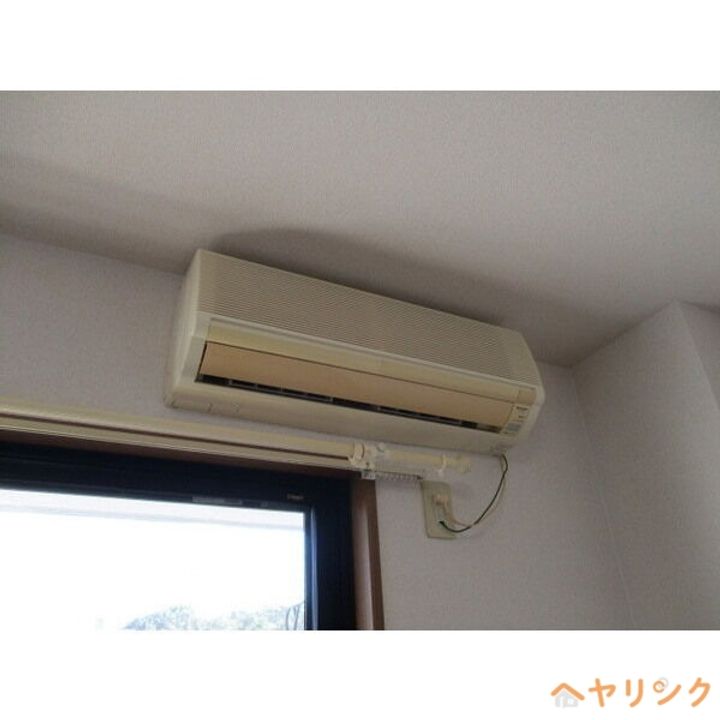 アムールフジのその他画像