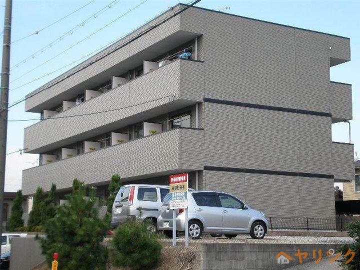 アムールフジのその他画像