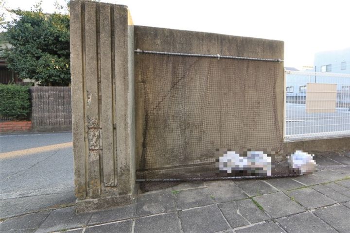 椿マンション105のその他画像