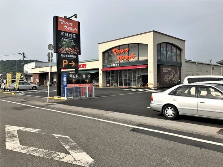 尾崎マンション303の周辺