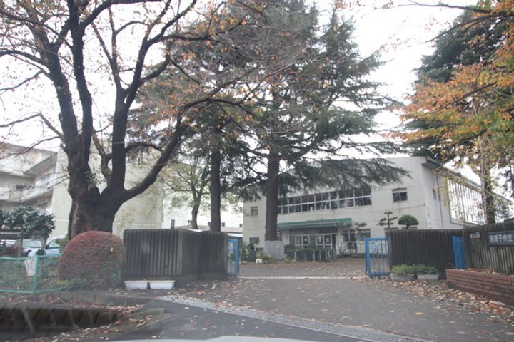 椎名ビル205の周辺