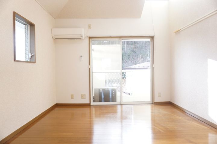 エクセルシャトー中山201の居間
