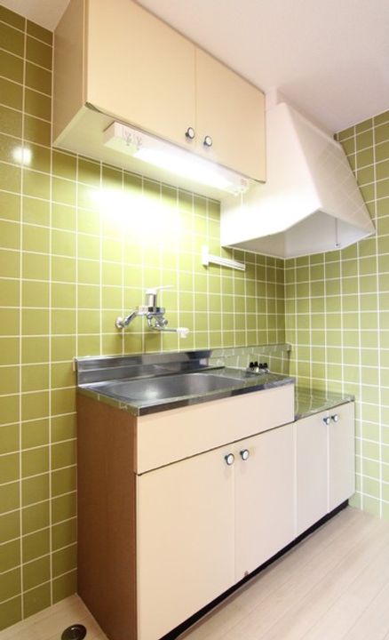 Alcazar Dogo501のキッチン