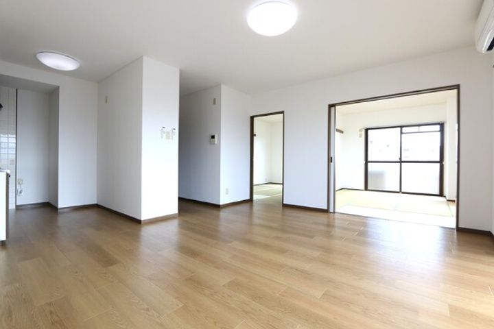 Falco bambino606のその他画像