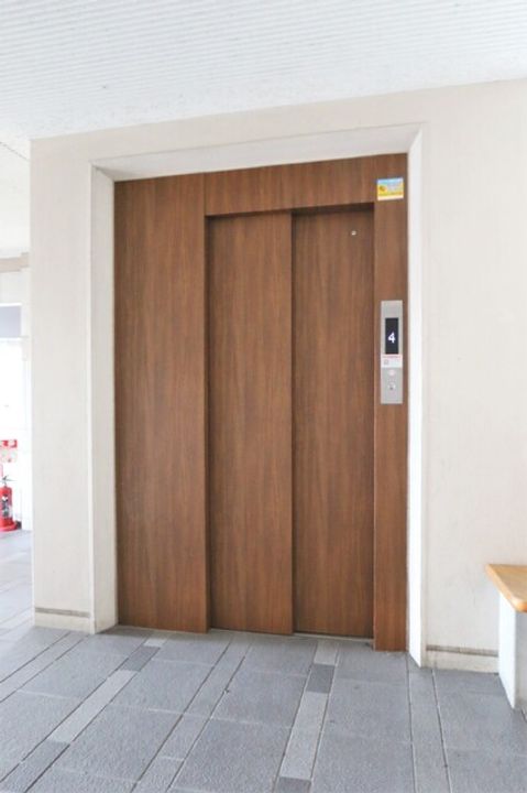 Falco bambino606のその他画像