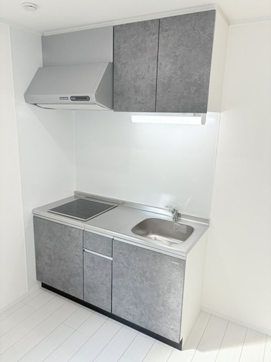 ラグライフ向山203のキッチン