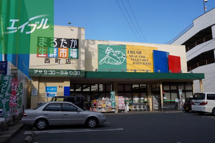 文教カテリーナ501の周辺