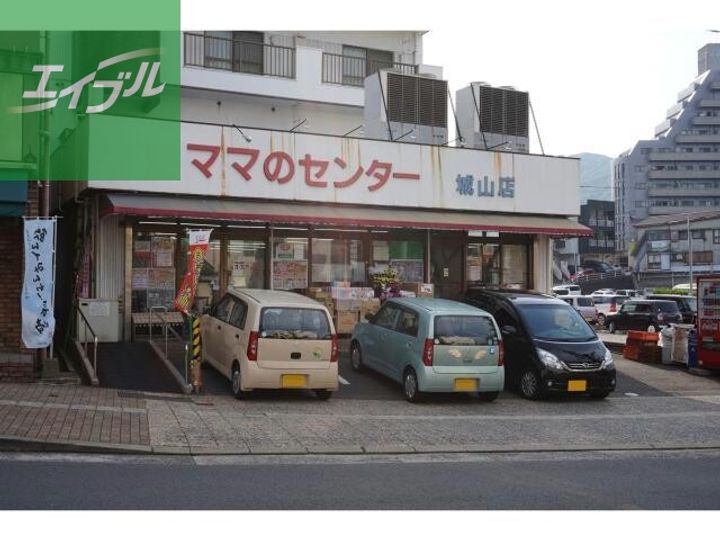 サンアイコーポ城山203の周辺