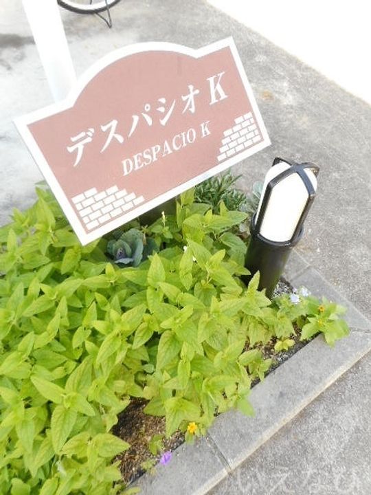 岡山県岡山市南区妹尾(アパート)の賃貸物件202の玄関