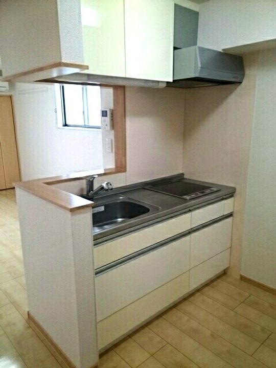 岡山県岡山市南区新保(マンション)の賃貸物件406のキッチン