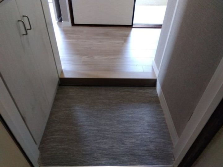 フォーブル平井501の玄関