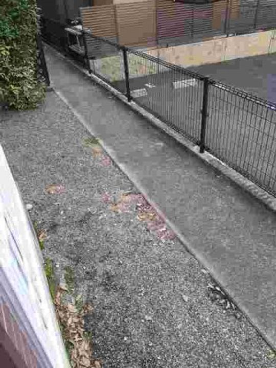 サン フォレスト Ⅱのその他画像