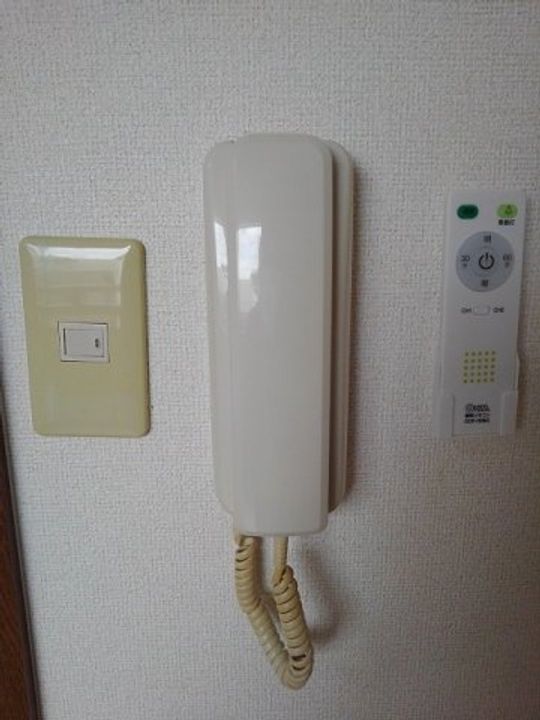 エバーグリーン森のその他画像