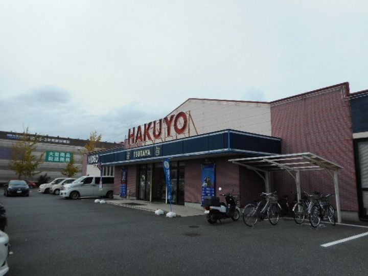エバーグリーン森の周辺