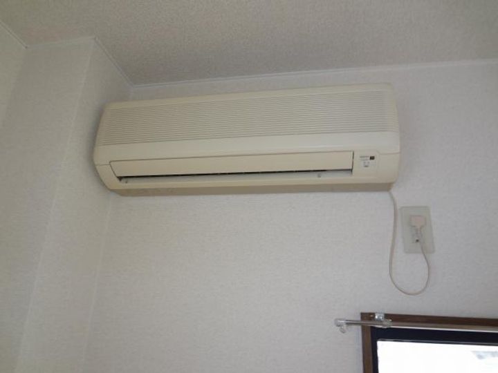 ワンダーランドのその他画像