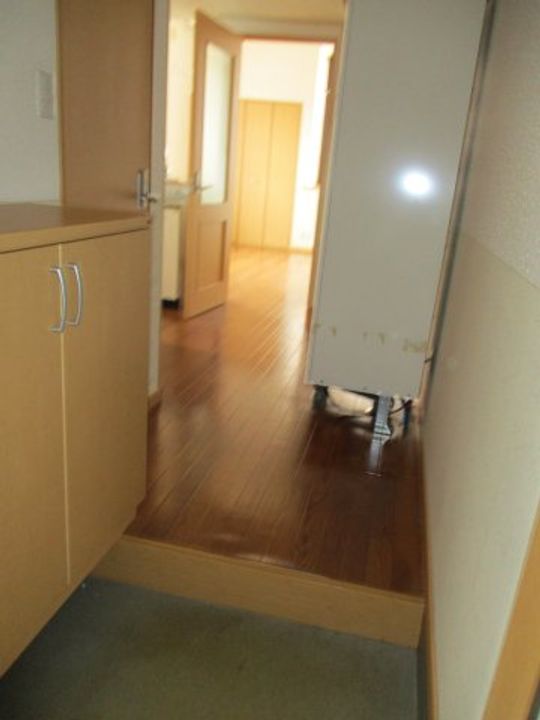 オレンジヒルズJ2101の玄関