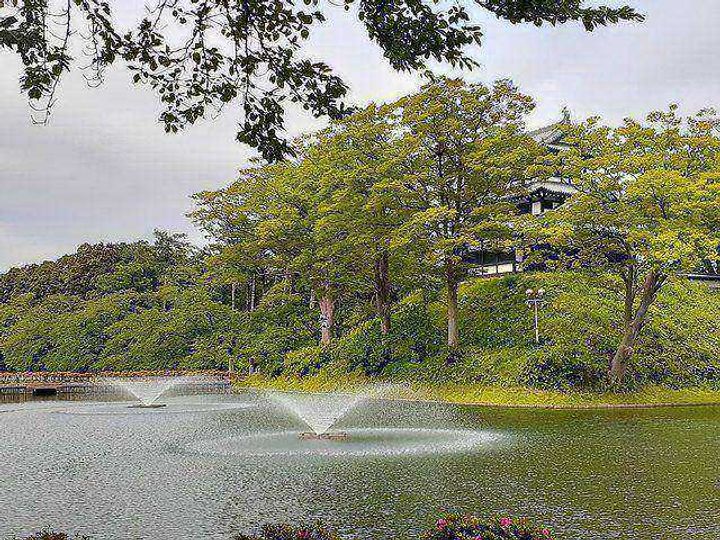 ハイツひばりの周辺