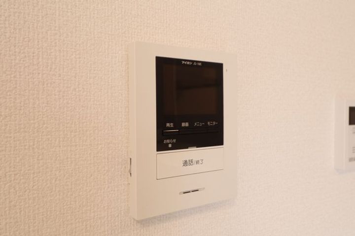 ラナンキュラス101のその他画像