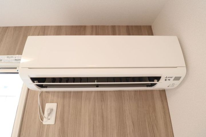 ラナンキュラス101のその他画像