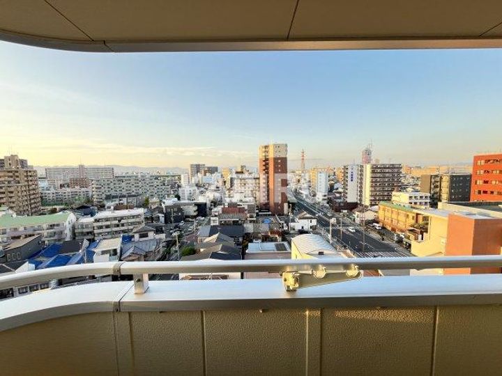 SOFIA IIのその他画像