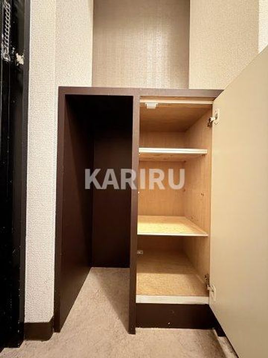 大阪府大阪市東成区神路3丁目(マンション)の賃貸物件の玄関