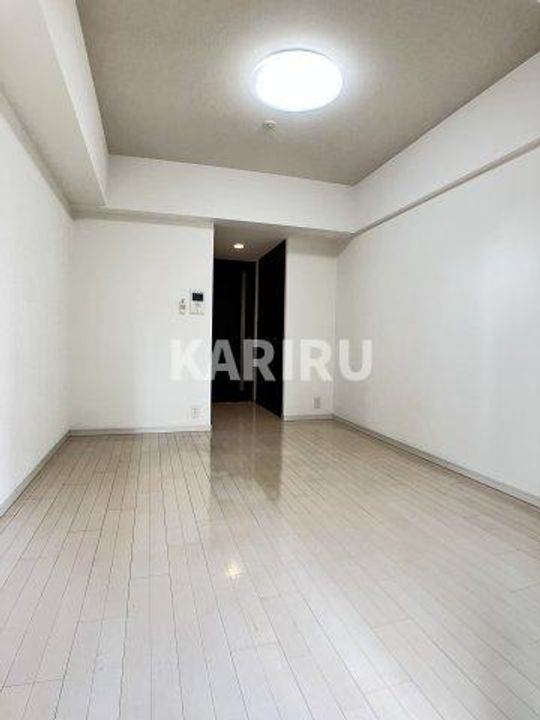 S-RESIDENCE緑橋serioの内装