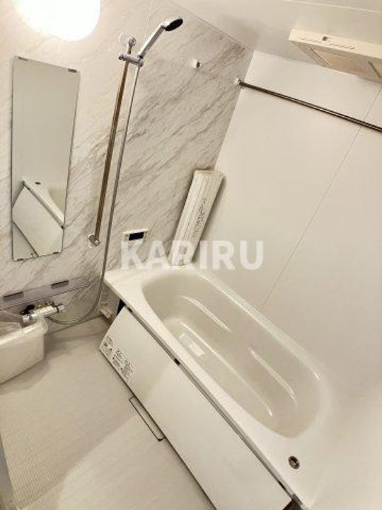 Casa Branche 202の風呂
