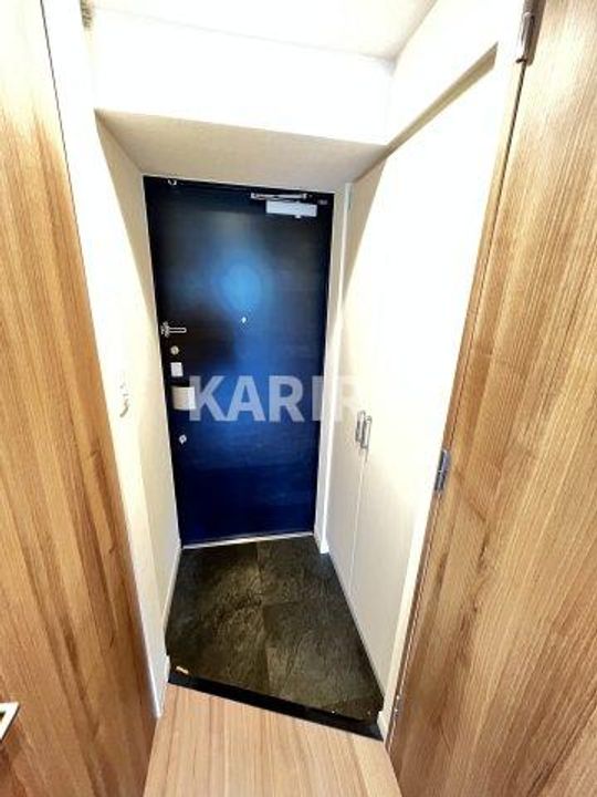 プレサンス水都OKAWAの玄関