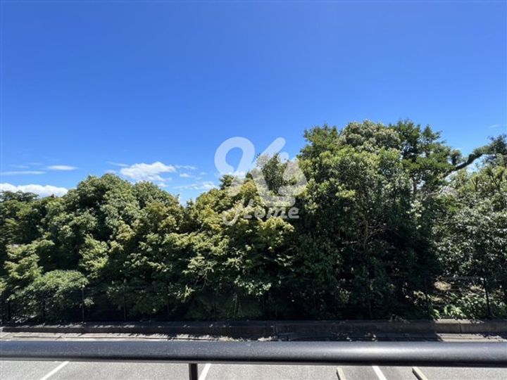 サニーガーデン須磨B201のその他画像