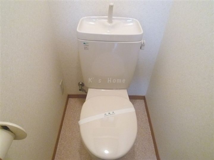 大星マンションのその他画像