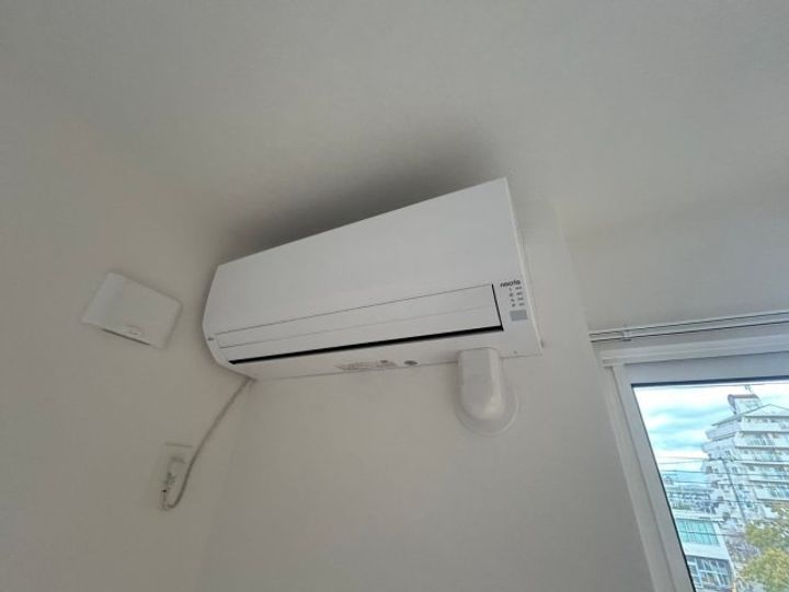 ハレレアのその他画像