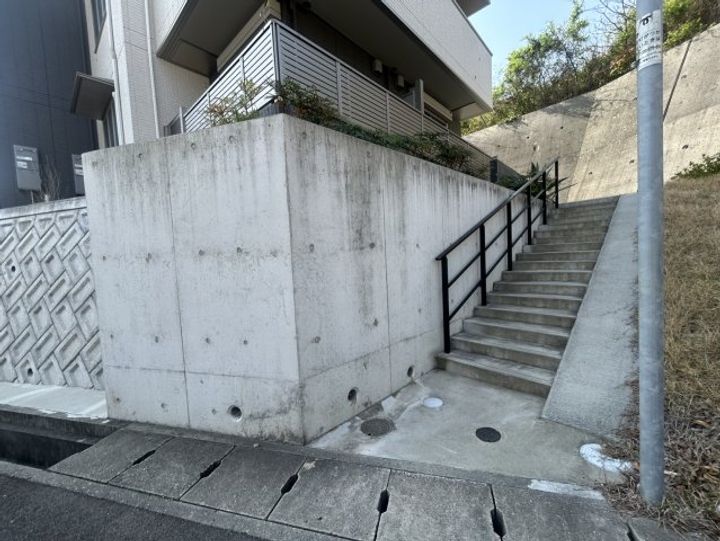 シャルマンヴィオラのその他画像