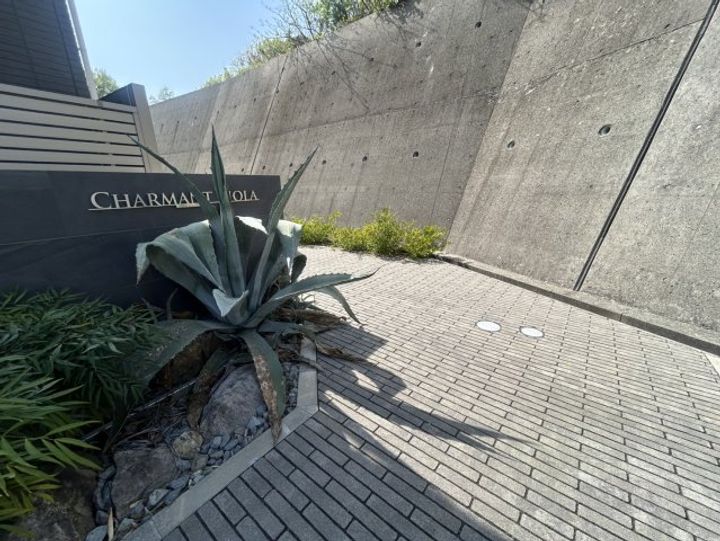 シャルマンヴィオラのその他画像