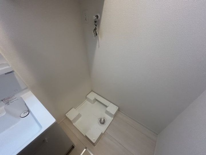 シャルマンヴィオラのその他画像