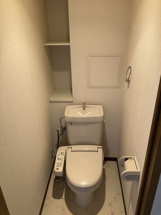 ヴェルドミールステラのその他画像