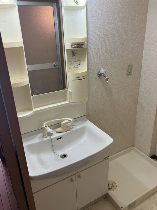 ヴェルドミールステラのその他画像